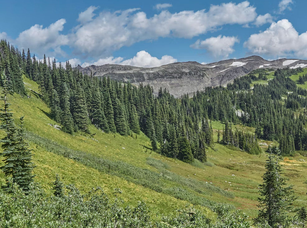 Sostenibilità +mino